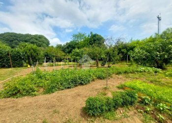 Terreno agricolo Via villoresi, Sedriano - foto 9