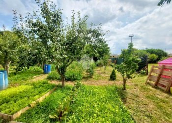 Terreno agricolo Via villoresi, Sedriano - foto 19