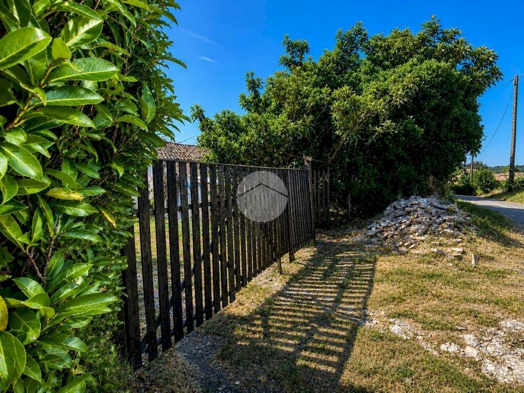 Casa semi indipendente Via motta, Castelletto Merli - foto 2