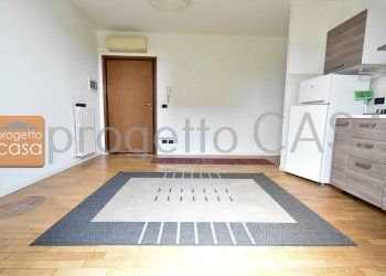 One-room apartment San Cesario sul Panaro - photo 2