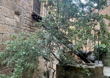 Two-room apartment Sorano - photo 31