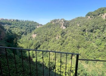 Two-room apartment Sorano - photo 44