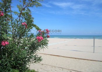 Foto 5 - Appartamento Lungomare Marconi, Alba Adriatica - foto 5