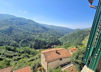 Foto 18 - Semi-detached house Via di Gave, Pescia - photo 18