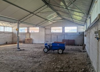 Foto 1 - Magazzino Via Asse, Camporosso - foto 1