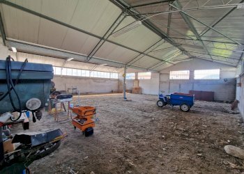 Foto 10 - Magazzino Via Asse, Camporosso - foto 10