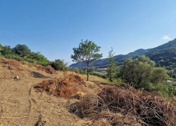 Foto 1 - Building land Camporosso - photo 1