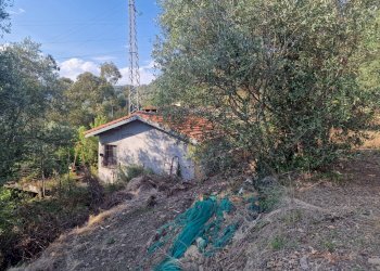 Foto 3 - Building land Camporosso - photo 3
