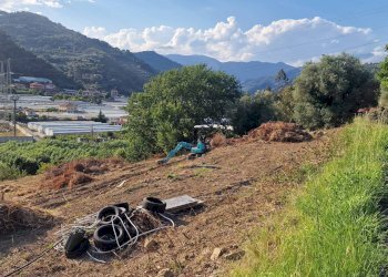 Foto 6 - Building land Camporosso - photo 6
