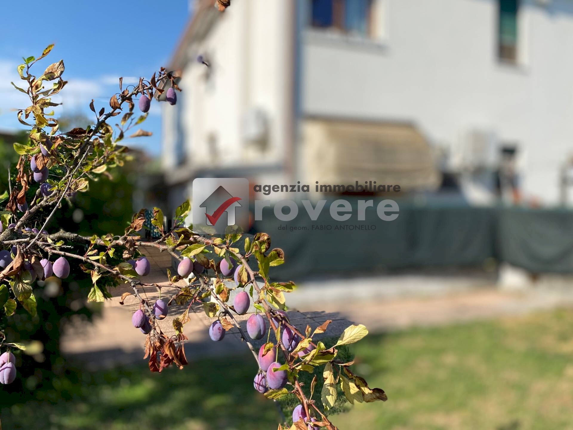 Foto 1 - Semi-detached house Treviso - photo 1