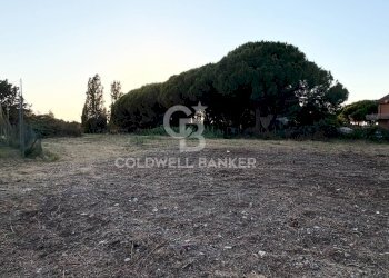 Foto 1 - Agricultural land Località San Giorgio, Tarquinia - photo 1