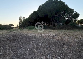 Foto 4 - Agricultural land Località San Giorgio, Tarquinia - photo 4