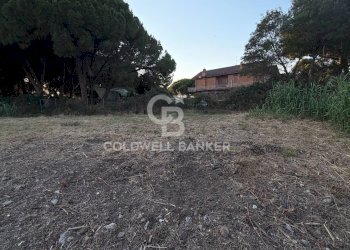 Foto 5 - Agricultural land Località San Giorgio, Tarquinia - photo 5