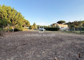 Foto 9 - Agricultural land Località San Giorgio, Tarquinia - photo 9