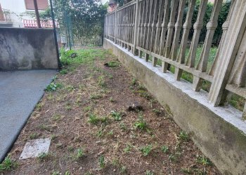 Foto 1 - Appartamento paolo campi
 
15, Gallarate - foto 1