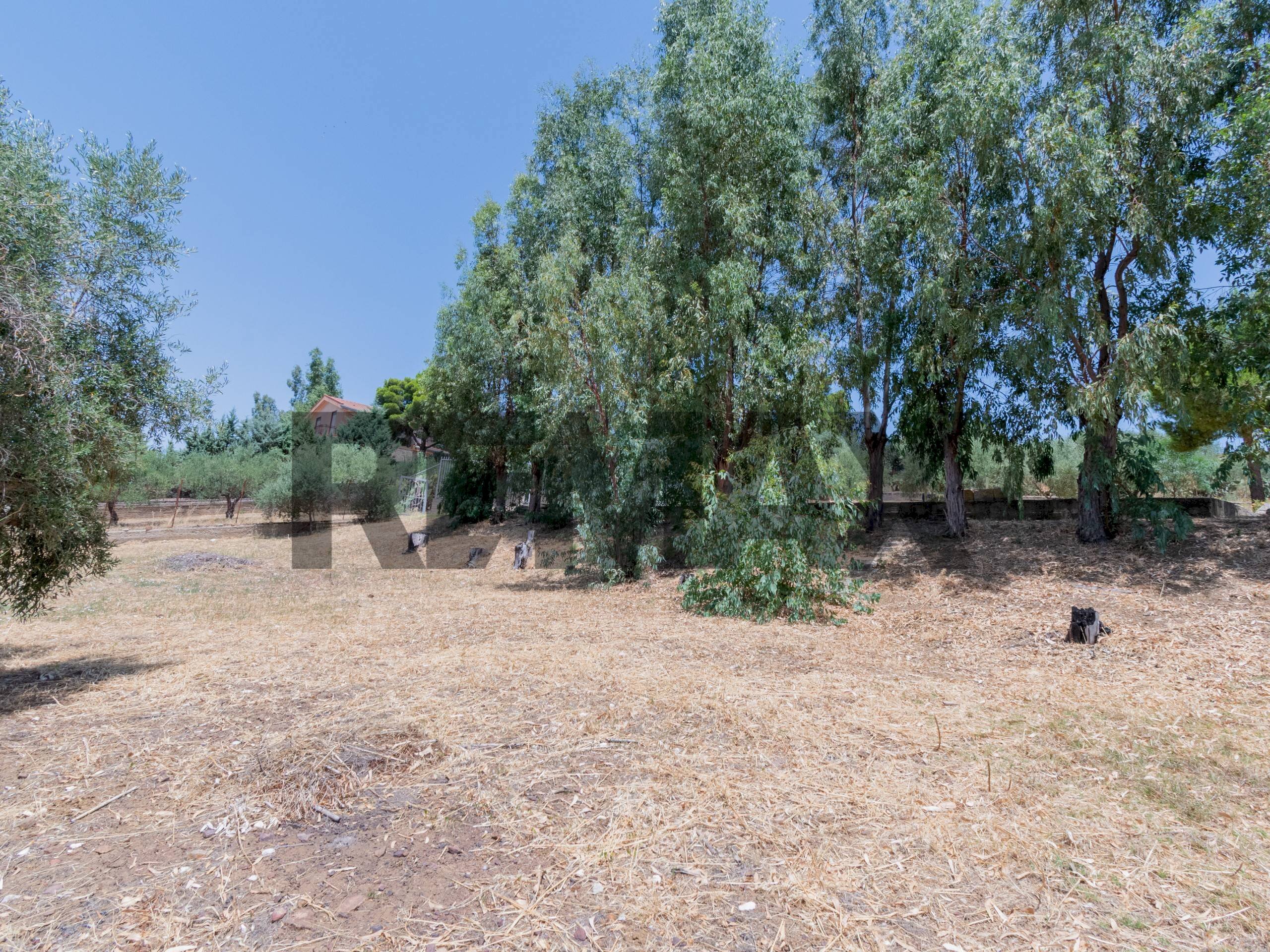 Giardino - Terreno agricolo contrada masseria d'amari
93 A, Misilmeri - foto 2