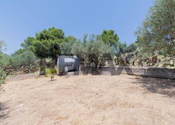 Giardino - Terreno agricolo contrada masseria d'amari
93 A, Misilmeri - foto 5