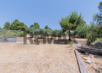 Giardino - Terreno agricolo contrada masseria d'amari
93 A, Misilmeri - foto 15