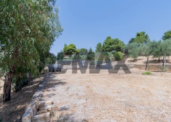 Giardino - Terreno agricolo contrada masseria d'amari
93 A, Misilmeri - foto 16