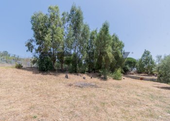 Giardino - Terreno agricolo contrada masseria d'amari
93 A, Misilmeri - foto 18