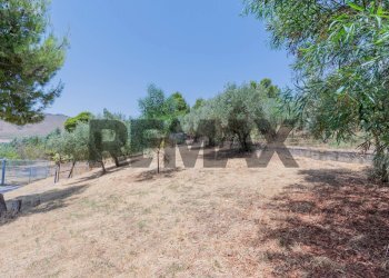 Giardino - Terreno agricolo contrada masseria d'amari
93 A, Misilmeri - foto 20