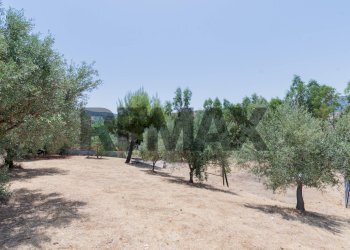 Giardino - Terreno agricolo contrada masseria d'amari
93 A, Misilmeri - foto 21
