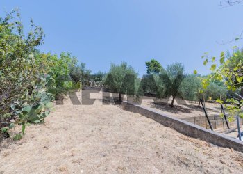 Giardino - Terreno agricolo contrada masseria d'amari
93 A, Misilmeri - foto 22