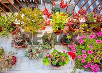 Dettagli - Three-room apartment Via Timoleone
 
11, Taormina - photo 12