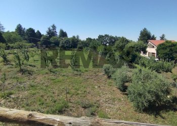 Vista delle montagne - Casa indipendente Calcerana Marina
 
snc, Adrano - foto 23