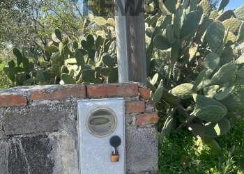 Giardino - Casa indipendente CONTRADA STAGLIATA
 
sn, Belpasso - foto 8