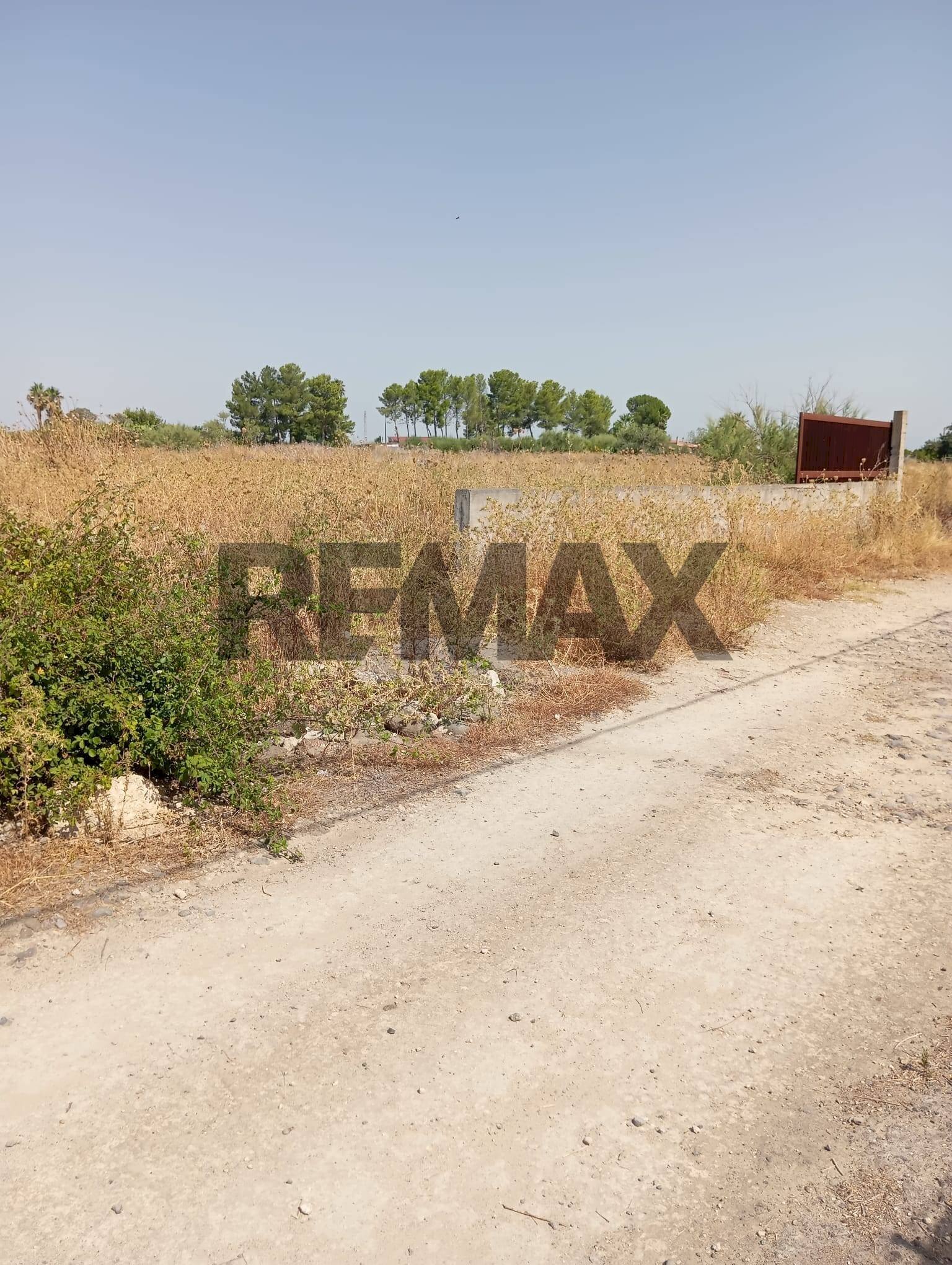 Non correlato - Terreno agricolo via cannellazza
 
8, Carlentini - foto 1