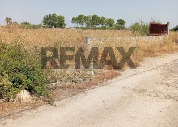 Non correlato - Terreno agricolo via cannellazza
8, Carlentini - foto 1