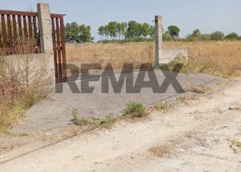 Non correlato - Terreno agricolo via cannellazza
8, Carlentini - foto 2
