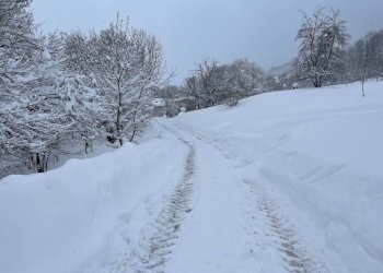 dintorni - Trilocale via Tetti, Roburent - foto 30