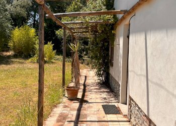 Foto 18 - Rustico Regione Secco
 
72, Canelli - foto 18