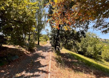 Foto 39 - Rustico Regione Secco
 
72, Canelli - foto 39