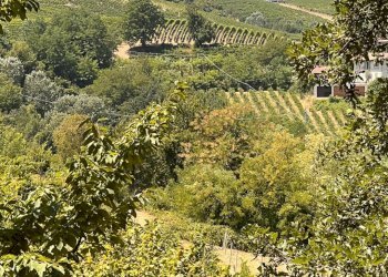 Foto 40 - Rustico Regione Secco
 
72, Canelli - foto 40