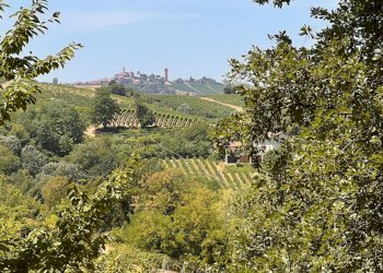 Foto 41 - Rustico Regione Secco
 
72, Canelli - foto 41