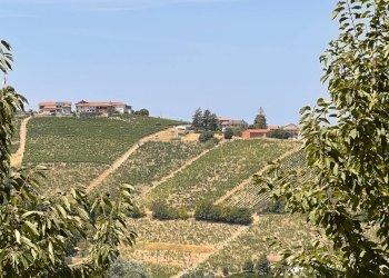 Foto 42 - Rustico Regione Secco
 
72, Canelli - foto 42