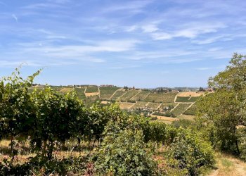 Foto 43 - Rustico Regione Secco
 
72, Canelli - foto 43