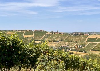 Foto 44 - Rustico Regione Secco
 
72, Canelli - foto 44