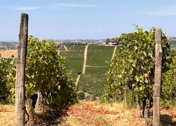 Foto 47 - Rustico Regione Secco
 
72, Canelli - foto 47
