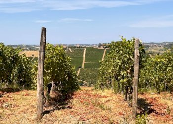 Foto 48 - Rustico Regione Secco
 
72, Canelli - foto 48