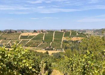 Foto 49 - Rustico Regione Secco
 
72, Canelli - foto 49