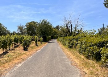 Foto 50 - Rustico Regione Secco
 
72, Canelli - foto 50