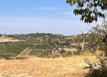 Foto 51 - Rustico Regione Secco
 
72, Canelli - foto 51