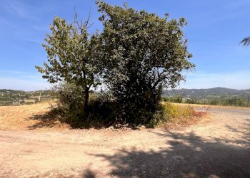 Foto 54 - Rustico Regione Secco
 
72, Canelli - foto 54