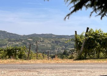 Foto 55 - Rustico Regione Secco
 
72, Canelli - foto 55