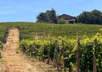Foto 63 - Rustico Regione Secco
 
72, Canelli - foto 63