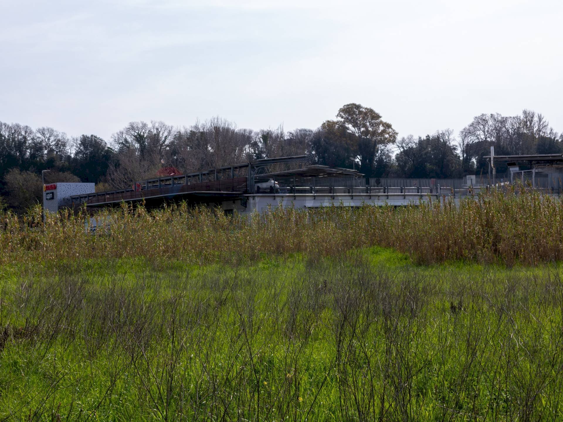 Giardino - Building land VIA VIRGILIO
SNC, Ardea - photo 3